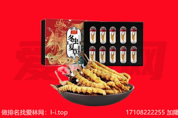浮山县回收虫草.jpg